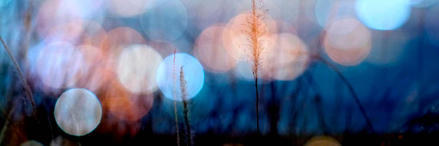 Lentes de rango extendido