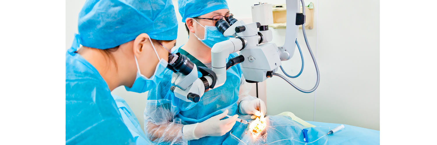 Los factores económicos que convirtieron las cataratas en el negocio médico del siglo